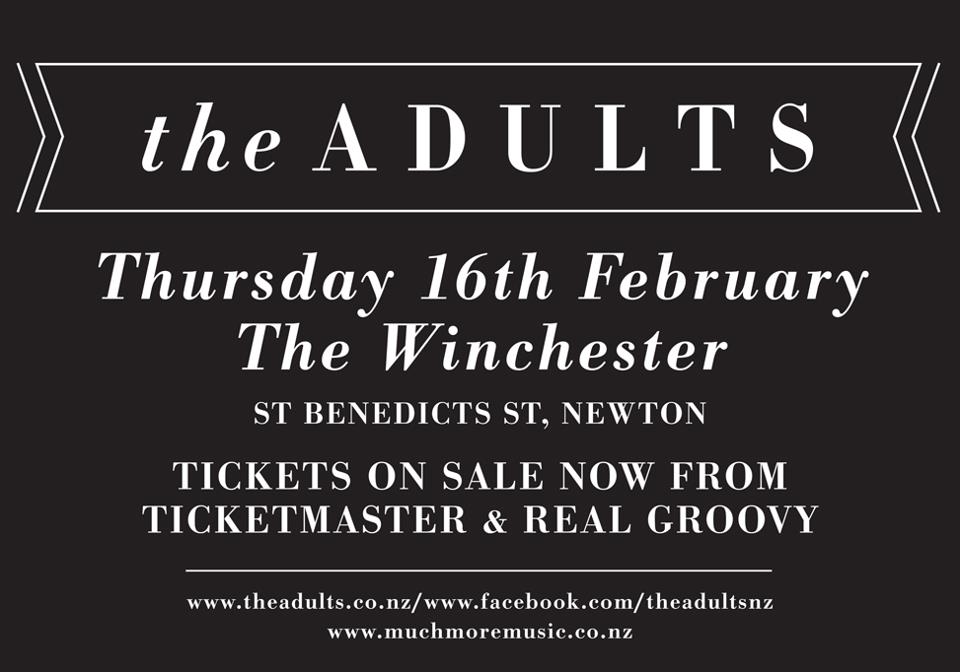 The Adults Winchester Feb 16 2012 gig.jpg